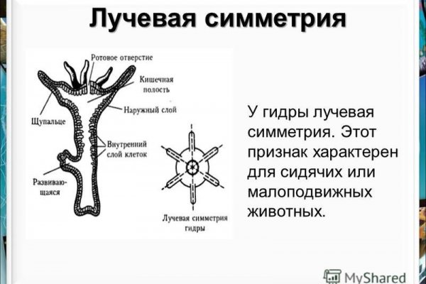 Darknet ссылка кракен kraken014 com